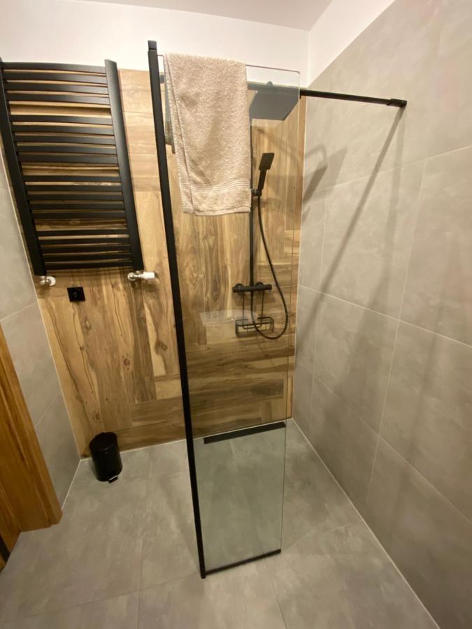 Mech & Paprocie Apartment Ustrzyki Dolne